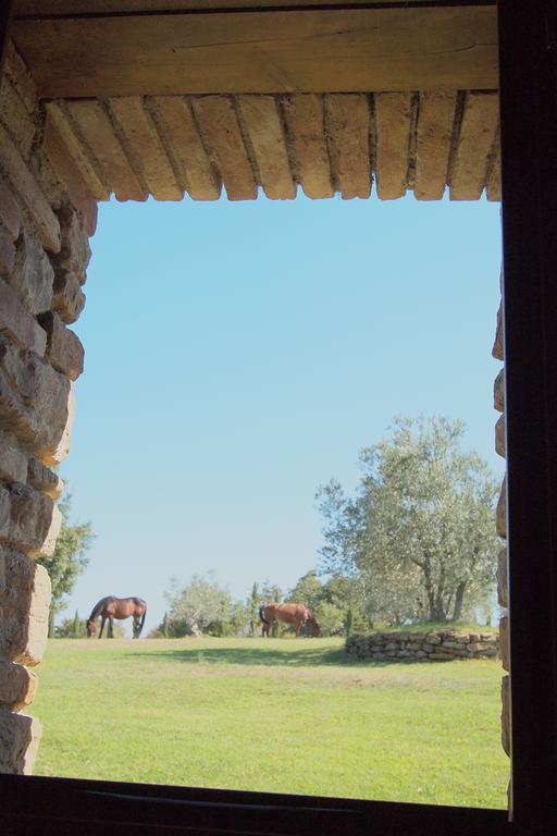 Podere Campovecchio Rapale Phòng bức ảnh